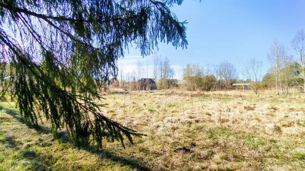 Участок в Ленинградская область, Киришский район, Пчевжинское с/пос, ... - Фото 1