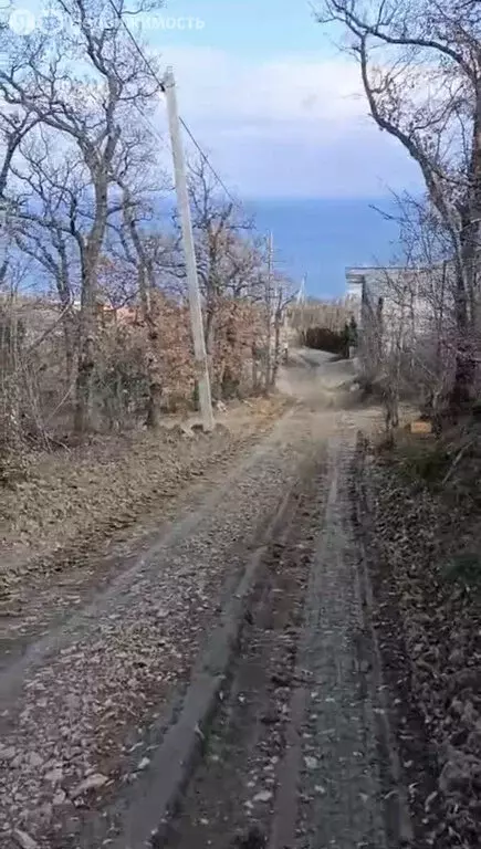 Участок в Ленинградская область, Гатчинский муниципальный округ, ... - Фото 1