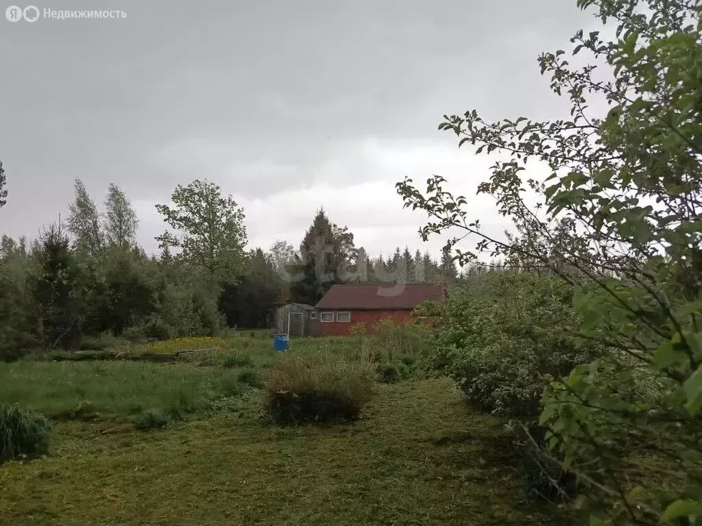 Участок в Глажевское сельское поселение, садоводческое некоммерческое ... - Фото 1