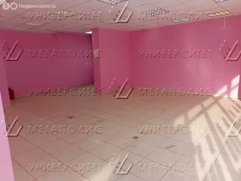 Помещение свободного назначения (320 м) - Фото 2