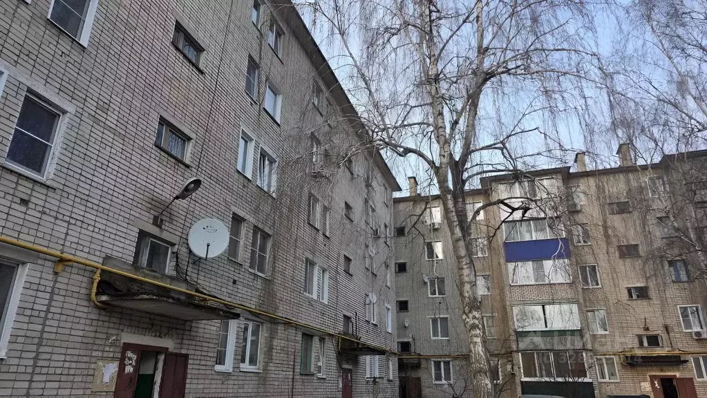 3-к кв. Липецкая область, Елец Рязано-Уральская ул., 42 (60.0 м) - Фото 1