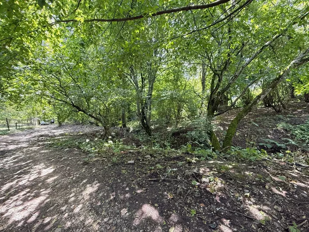 Участок в Кабардино-Балкария, Нальчик городской округ, с. Белая Речка ... - Фото 2