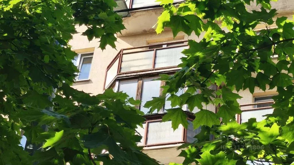 1-к кв. Санкт-Петербург Афонская ул., 24К2 (39.1 м) - Фото 1
