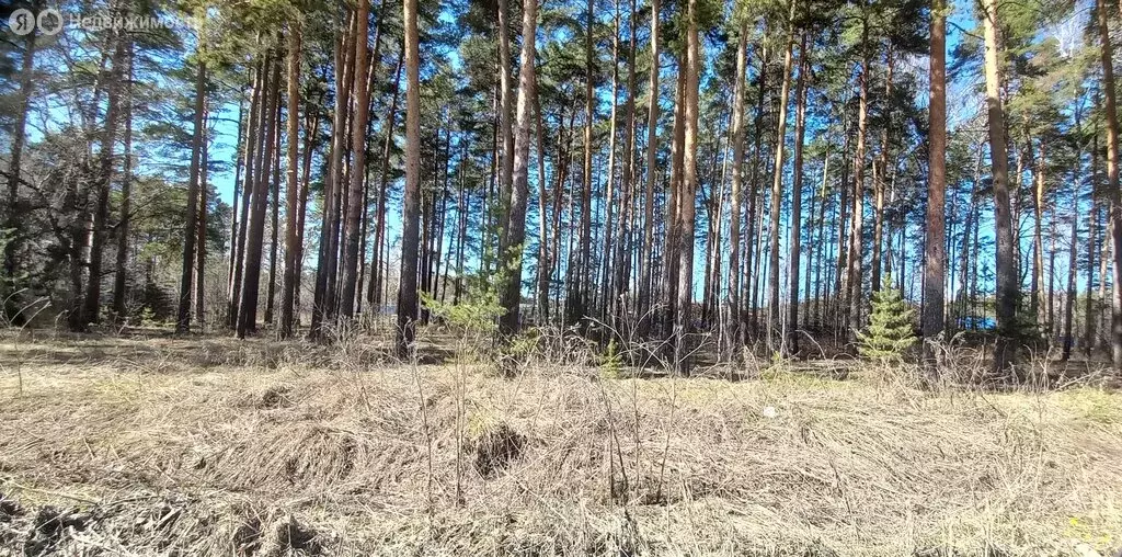 Участок в Екатеринбург, Опытная улица (100 м) - Фото 2