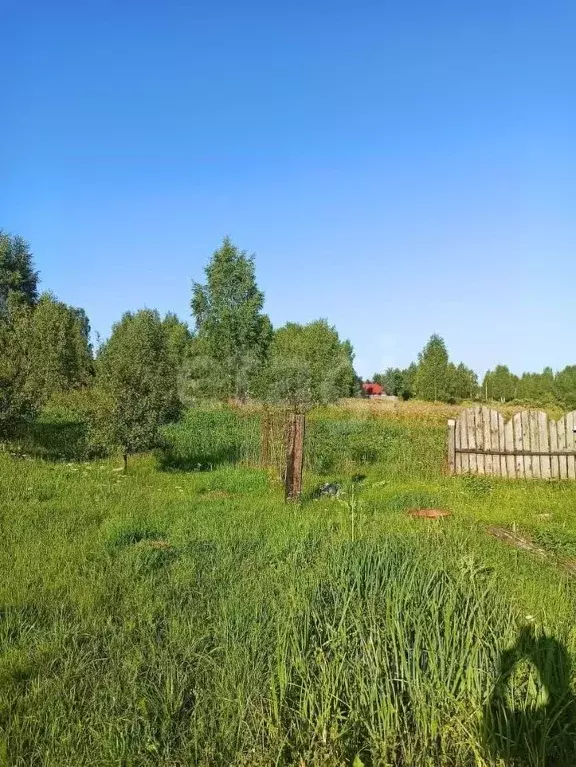 Участок в Ярославская область, Некрасовский муниципальный округ, д. ... - Фото 1