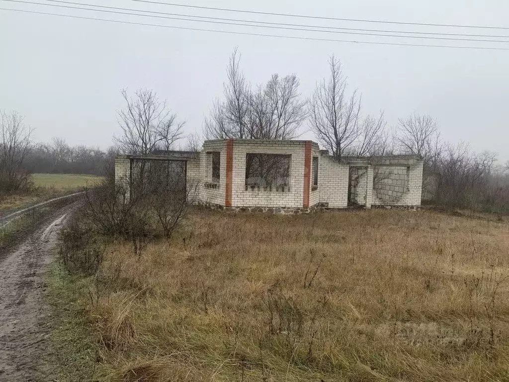 Участок в Белгородская область, Вейделевский район, с. Белый Колодезь ... - Фото 1