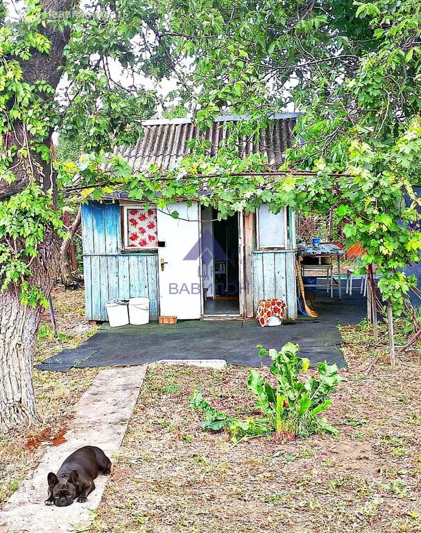 Участок в Волгодонск, садовое некоммерческое товарищество Ветеран (9 ... - Фото 1