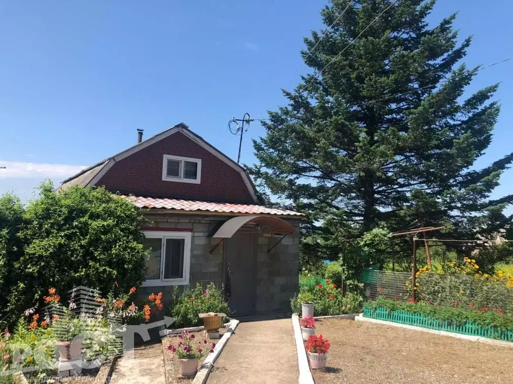 Дом в Приморский край, Надеждинский район, пос. Раздольное ул. ... - Фото 1