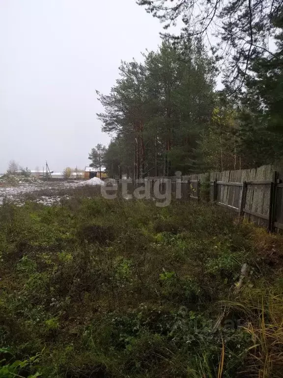 Участок в Архангельская область, Котлас муниципальное образование, д. ... - Фото 1