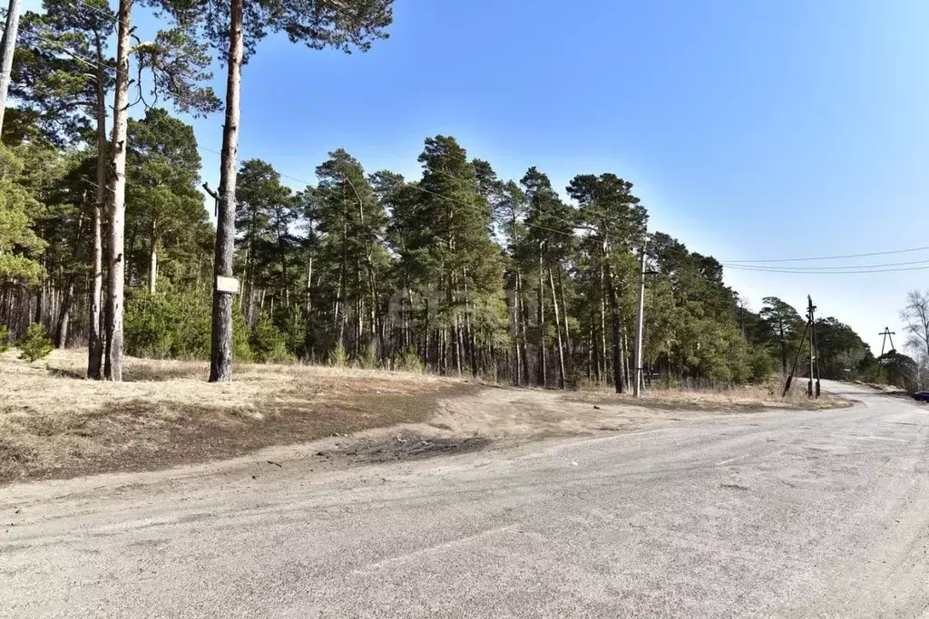 Участок в Алтайский край, Бийский район, пос. Боровой ул. Лесная, 4 ... - Фото 1