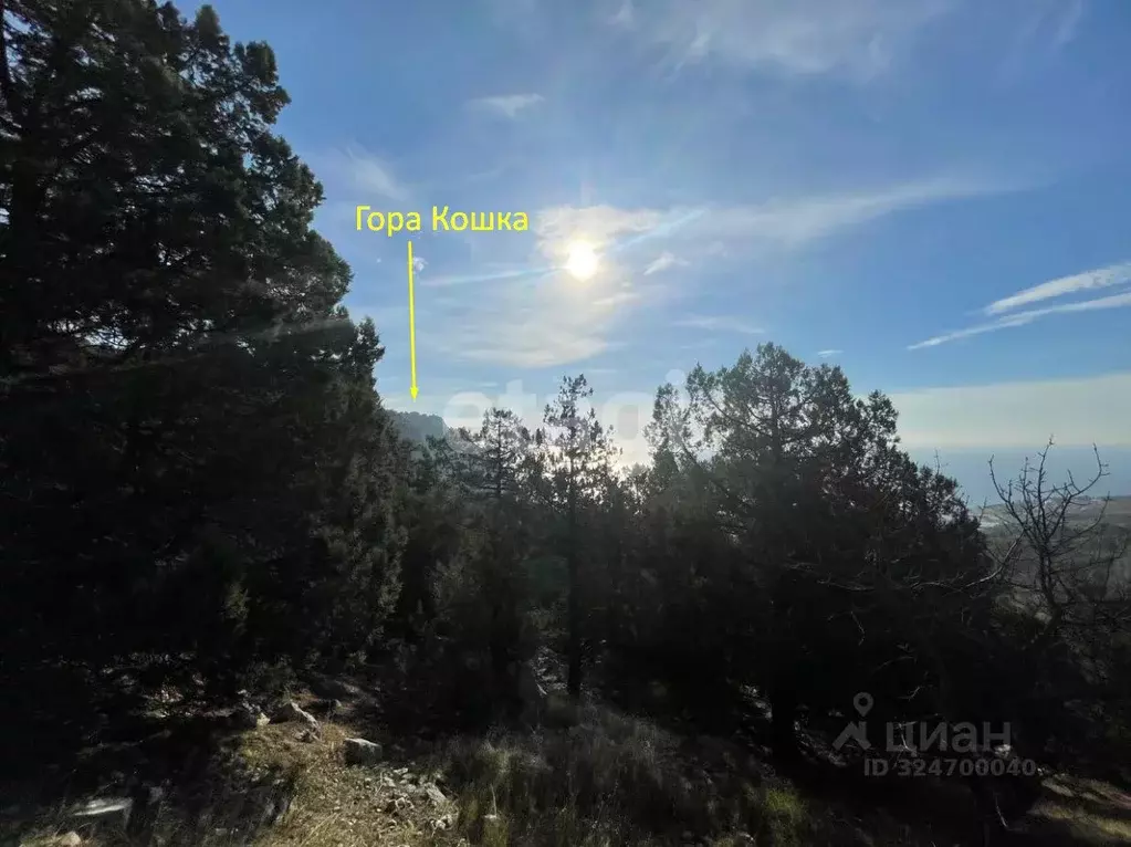 Участок в Крым, Ялта муниципальный округ, Симеиз пгт ул. Голубая (6.0 ... - Фото 0