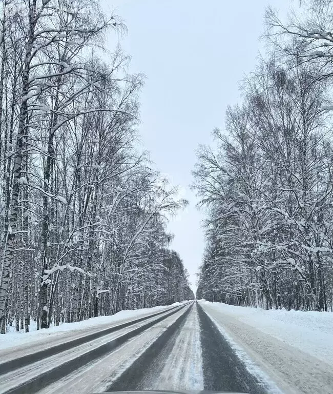 Участок в Нижегородская область, муниципальный округ Бор, деревня ... - Фото 2
