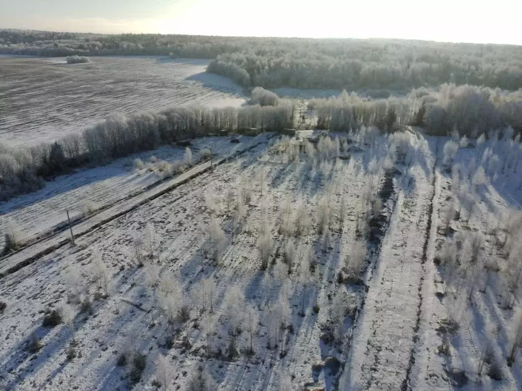 Участок в Вологодская область, д. Жилино ул. Николаевская (10.0 сот.) - Фото 1
