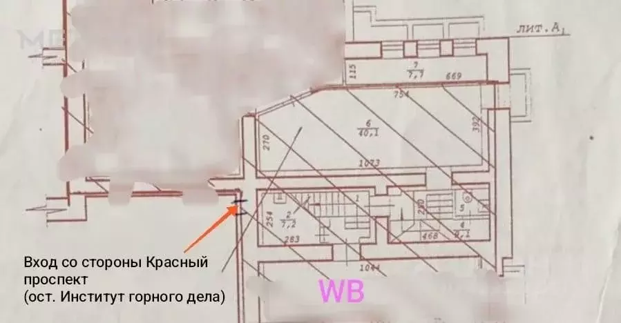 Помещение свободного назначения в Новосибирская область, Новосибирск ... - Фото 1