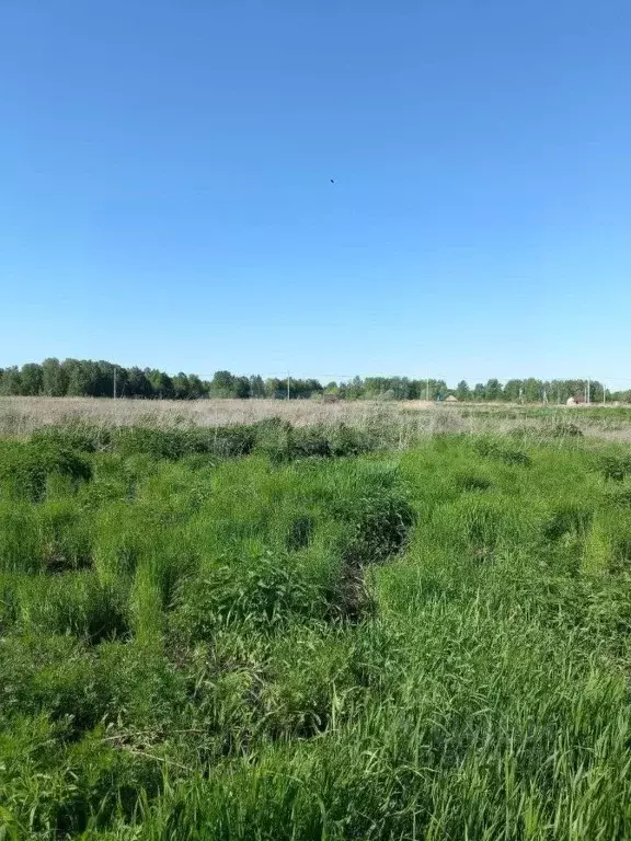 Участок в Тюменская область, Тюменский район, д. Решетникова  (8.34 ... - Фото 1