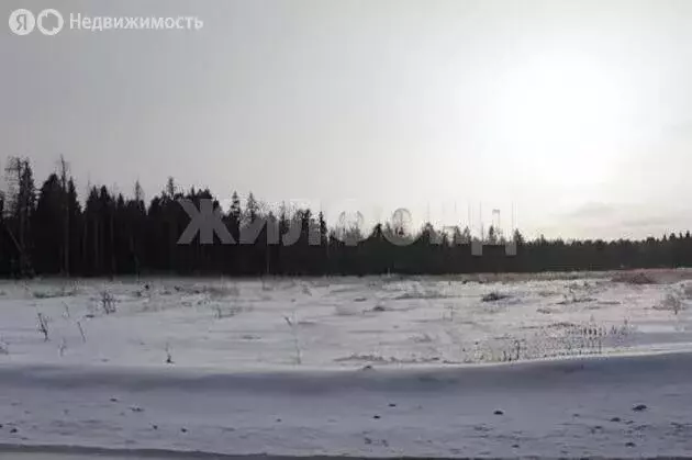 Участок в Кубовинский сельсовет, СНТ Экран, Клубничная улица, 68 (6.73 ... - Фото 2