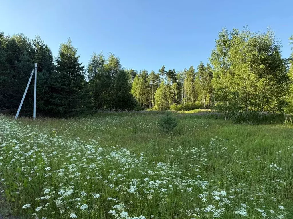 Участок в Вологодская область, Череповецкий район, д. Песье  (14.0 ... - Фото 2