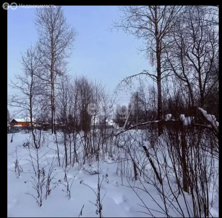 Участок в Вологодская область, Череповецкий муниципальный округ, ... - Фото 1