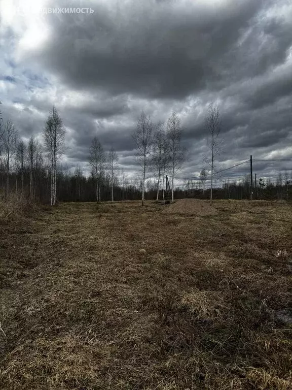 Участок в Новгородский муниципальный район, Бронницкое сельское ... - Фото 1