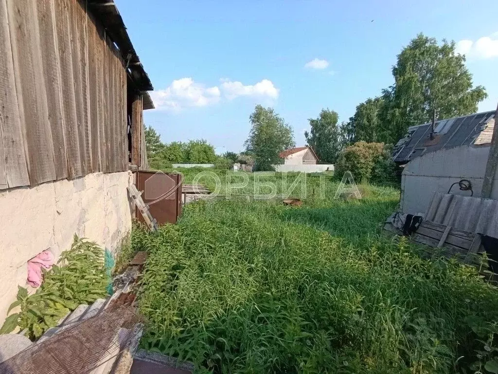 Участок в Тюменская область, Тюменский муниципальный округ, с. Каскара ... - Фото 1