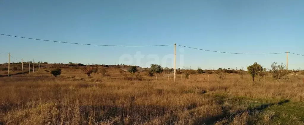 Участок в Крым, Керчь Дельфин садовое товарищество, ул. Тенистая (5.0 ... - Фото 1