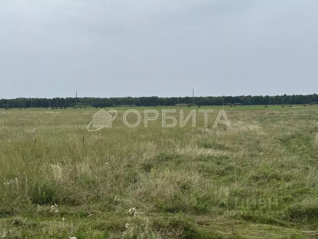 Участок в Тюменская область, Тюменский муниципальный округ, д. ... - Фото 2