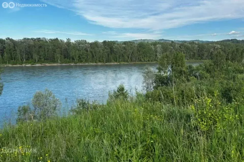 Участок в Майминский район, село Подгорное, улица Прибрежная (20 м) - Фото 2