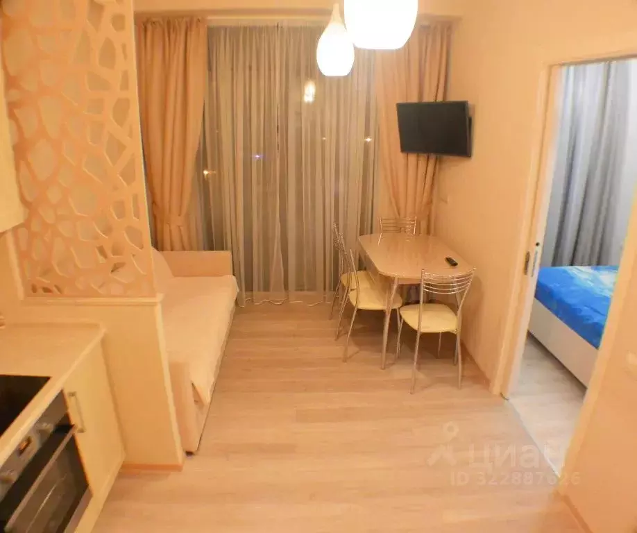 1-к кв. Краснодарский край, Сочи ул. Кирова, 28А (28.0 м) - Фото 1