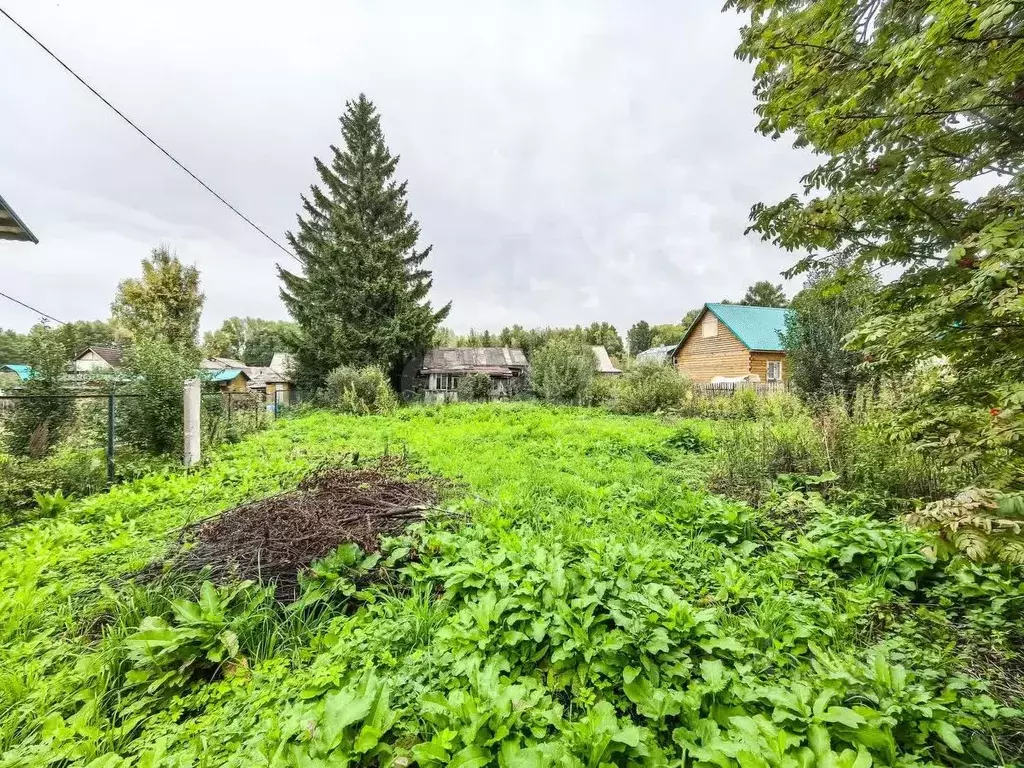 Участок в Новосибирская область, Новосибирск Банковец СТ, 91 (6.0 ... - Фото 2