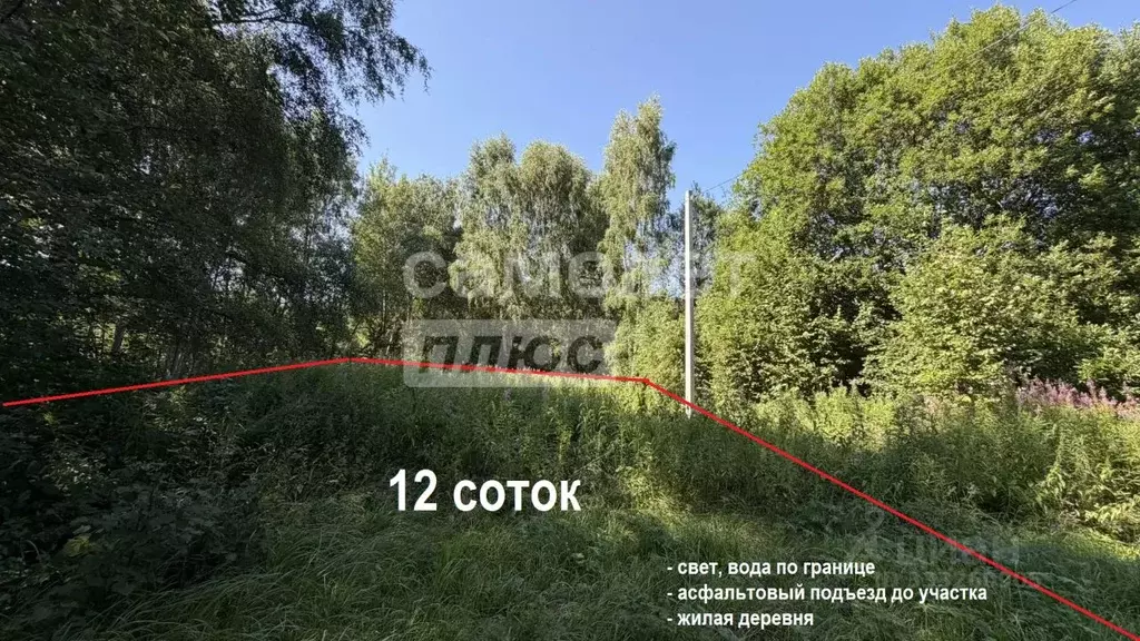 Участок в Московская область, Дмитровский муниципальный округ, д. ... - Фото 1