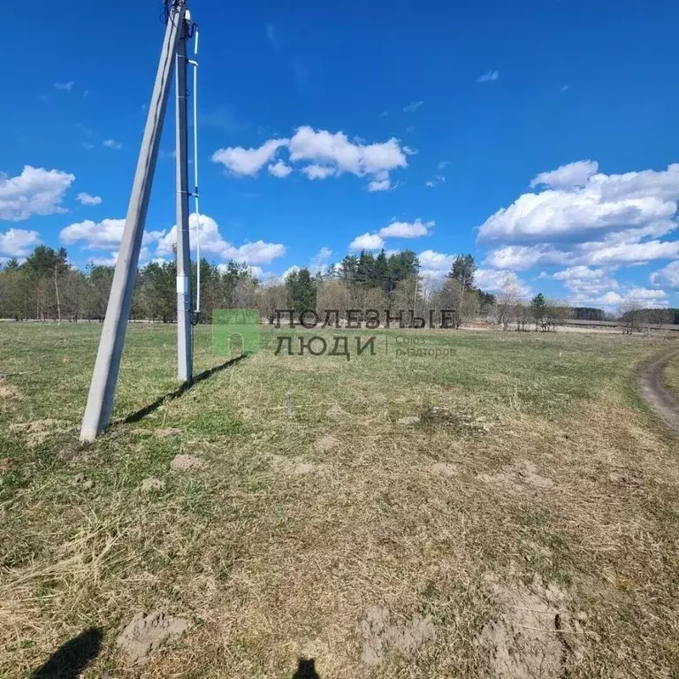 Участок в Пермский край, Соликамский муниципальный округ, с. Городище ... - Фото 2