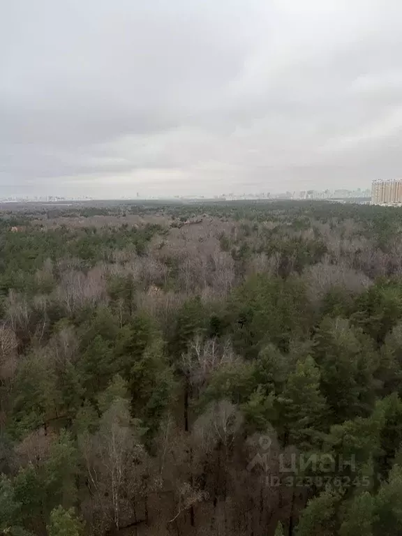 2-к кв. Московская область, Котельники ул. Сосновая, 2к1 (80.0 м) - Фото 1