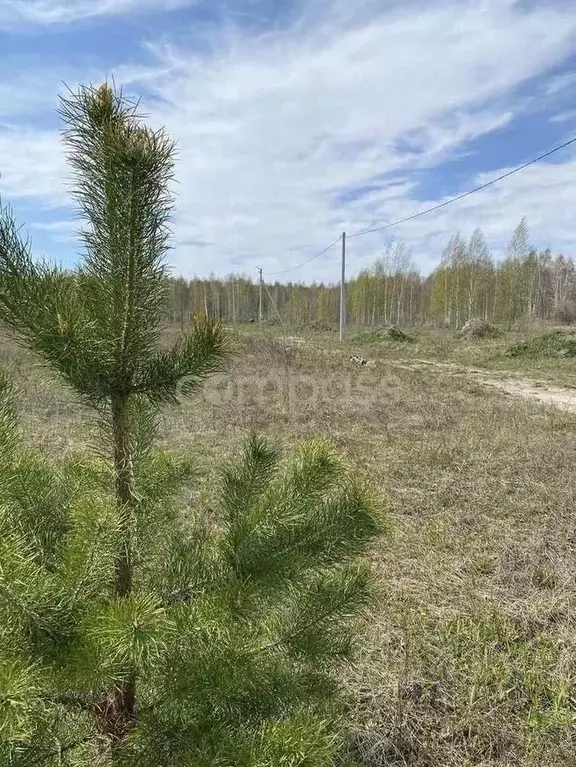 Участок в Тюменская область, Нижнетавдинский район, Сундукуль СНТ  ... - Фото 0