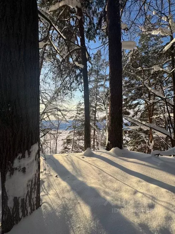 Участок в Московская область, Одинцовский городской округ, пос. ... - Фото 2
