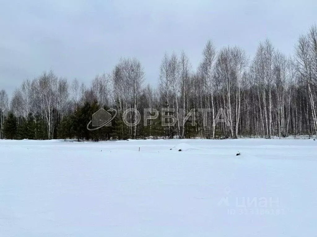 Участок в Тюменская область, Тюменский район, д. Марай  (7.5 сот.) - Фото 1