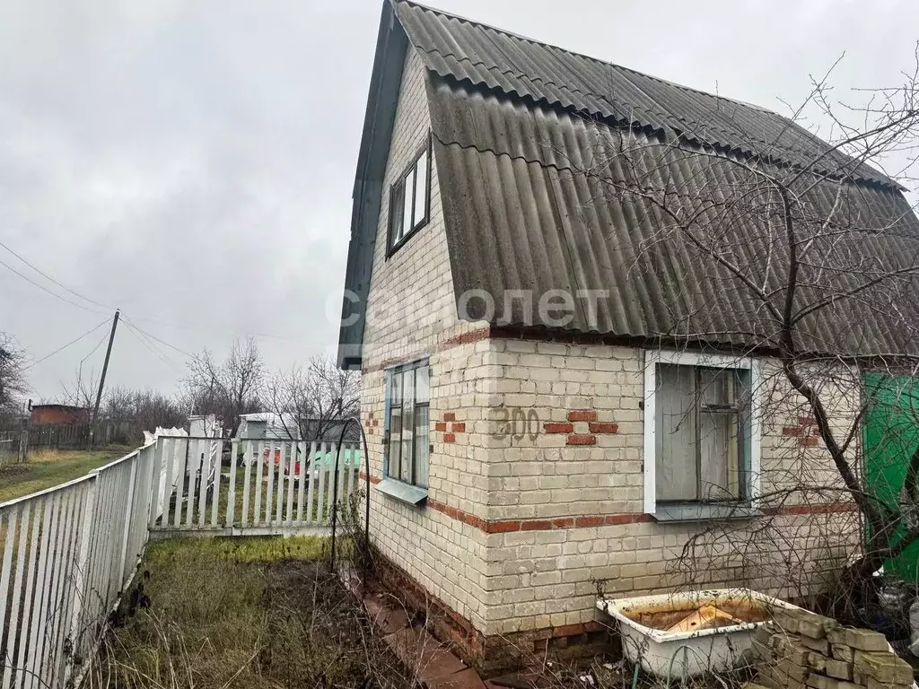 Участок в Курская область, Октябрьский район, Черницынский сельсовет, ... - Фото 2