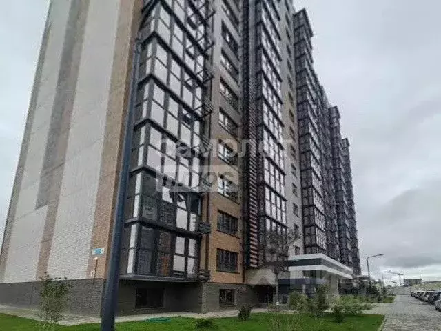 Помещение свободного назначения в Краснодарский край, Новороссийск ул. ... - Фото 1