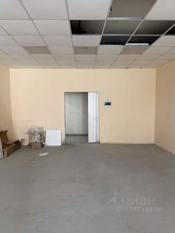 Офис в Новосибирская область, Бердск ул. Зеленая Роща, 7к34 (58 м) - Фото 1