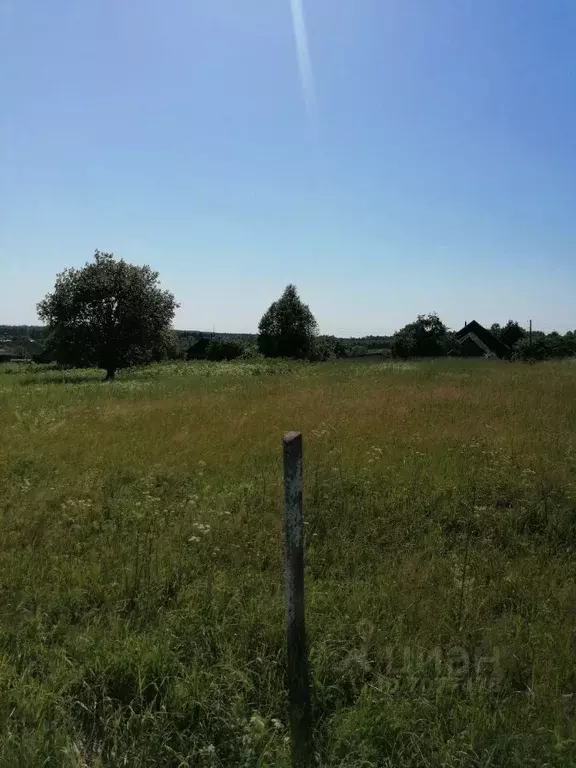 Участок в Тверская область, Калининский район, Бурашевское с/пос, д. ... - Фото 1