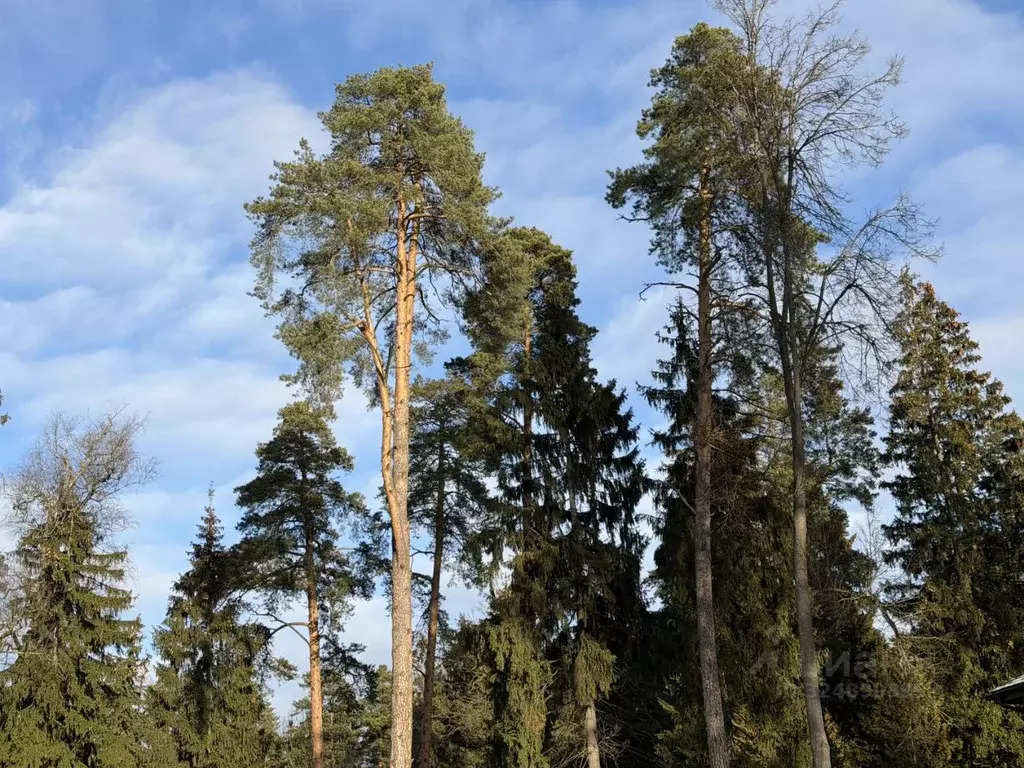 Участок в Московская область, Одинцово Баковка-Набережная ДНТ,  (24.0 ... - Фото 1