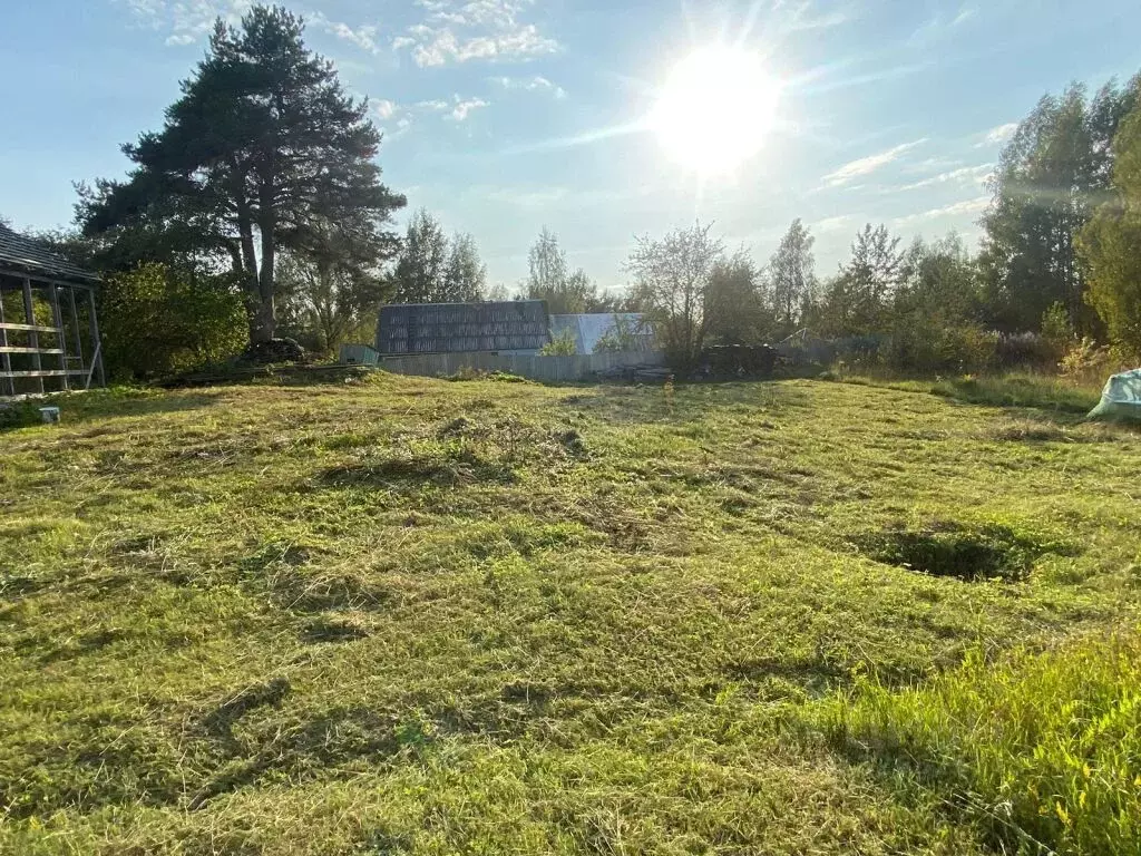 Участок в Новгородская область, Окуловский район, Березовикское с/пос, ... - Фото 2