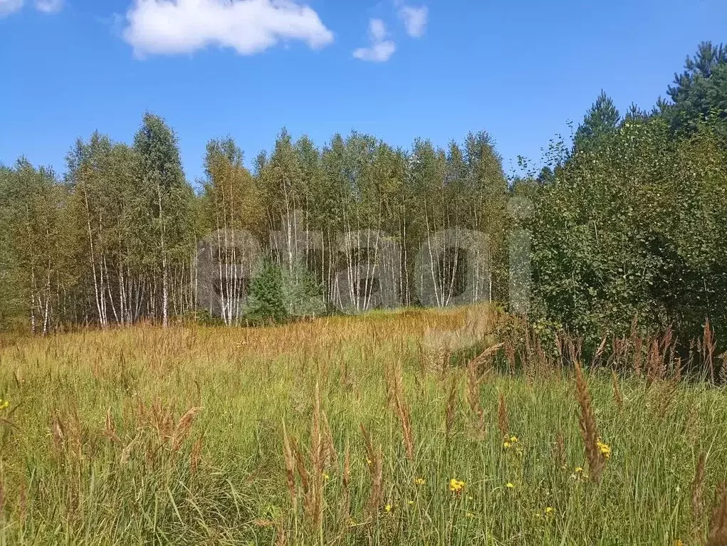 Участок в Калужская область, Дзержинский район, Галкино с/пос, д. ... - Фото 0