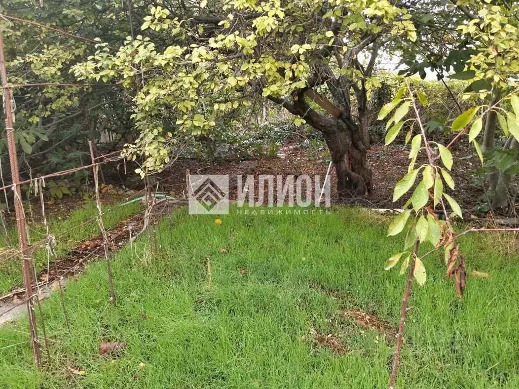 Участок в Севастополь Прогресс садоводческое товарищество, 133 (6.3 ... - Фото 1