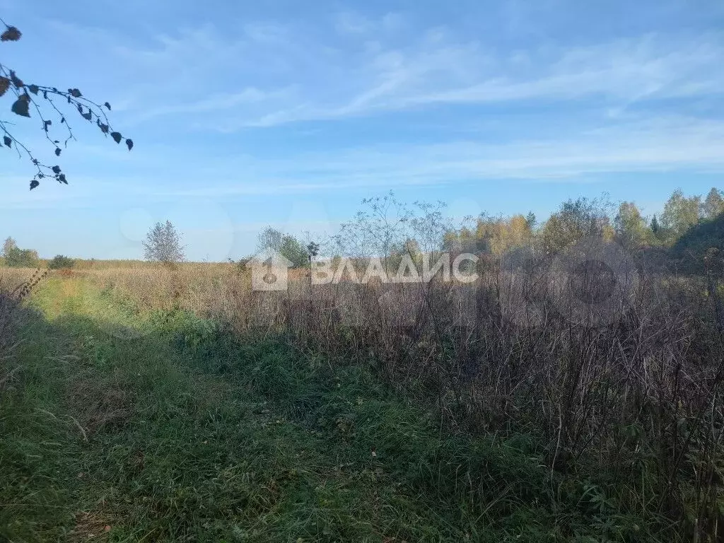 Участок 15 га (СНТ, ДНП) - Фото 0