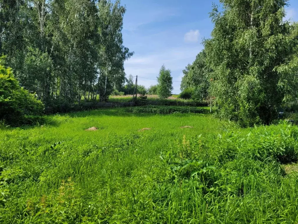 Участок в Красноярский край, Емельяновский район, Шуваевский ... - Фото 1