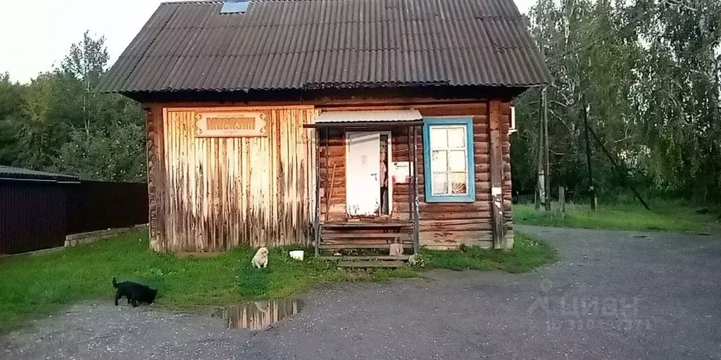 Торговая площадь в Пермский край, Осинский городской округ, пос. ... - Фото 1