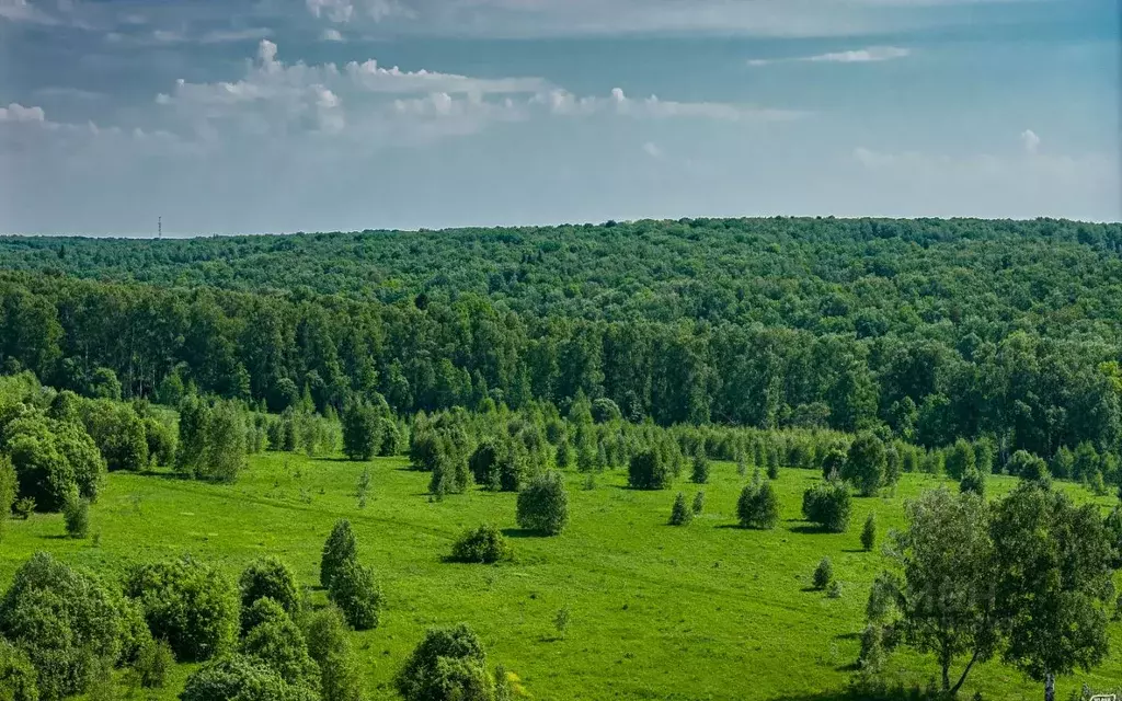 Участок в Московская область, Ступино городской округ, с. Старая Ситня ... - Фото 2