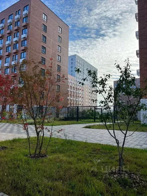 1-к кв. Москва Сосенское поселение, ул. Малое Понизовье, 3 (20.0 м) - Фото 0