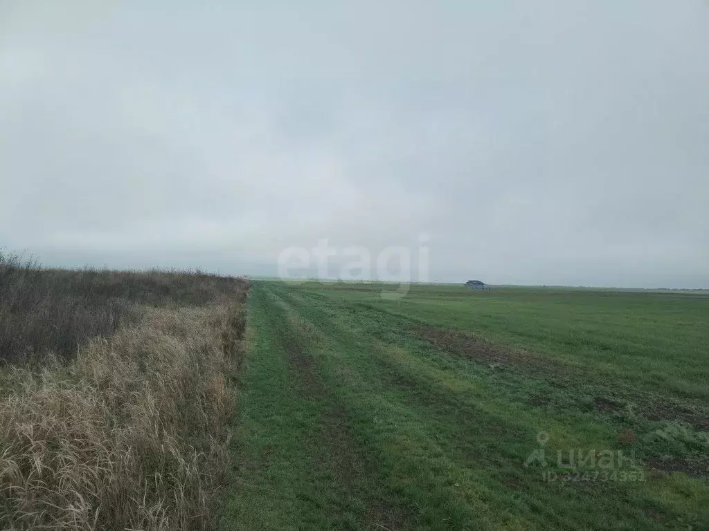 Участок в Крым, Ленинский район, Семисотское с/пос, с. Каменское ул. ... - Фото 1