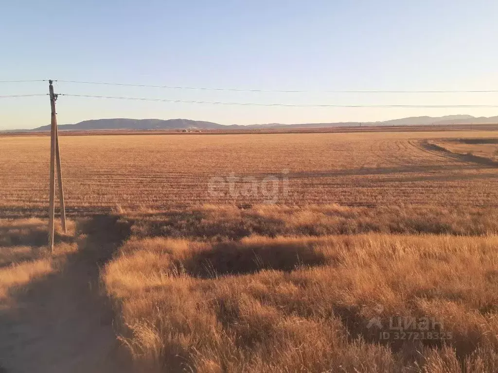 Участок в Крым, Советский район, с. Красногвардейское ул. Дзержинского ... - Фото 1